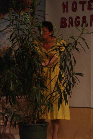 Fotos 2007
