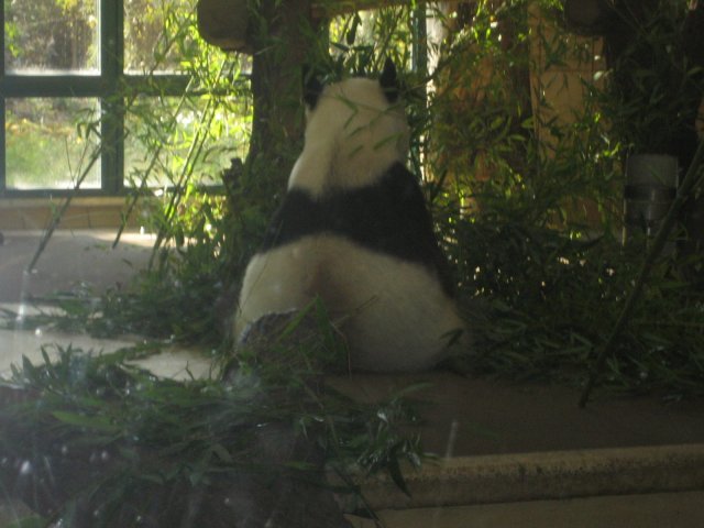 Besuch Schönbrunn 2010