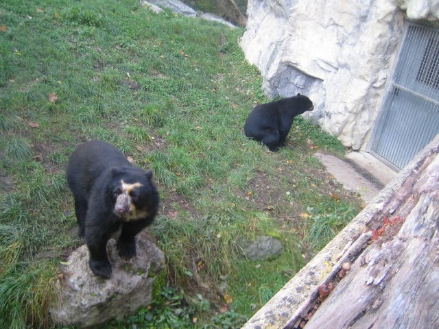 Besuch Schönbrunn 2010