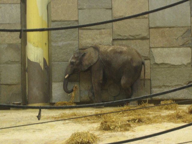 Besuch Schönbrunn 2010