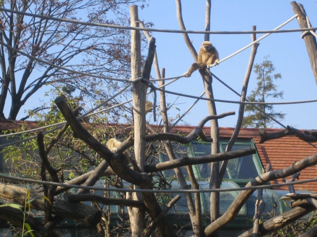 Besuch Schönbrunn 2010
