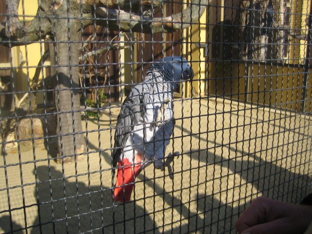Besuch Schönbrunn 2010