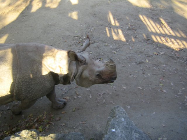 Besuch Schönbrunn 2010