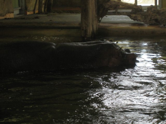 Besuch Schönbrunn 2010