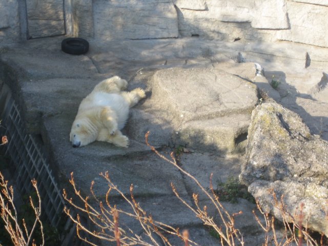 Besuch Schönbrunn 2010