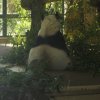 Besuch Schönbrunn 2010