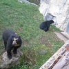 Besuch Schönbrunn 2010