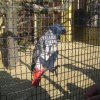 Besuch Schönbrunn 2010