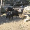 Besuch Schönbrunn 2010