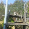 Besuch Schönbrunn 2010