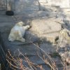 Besuch Schönbrunn 2010
